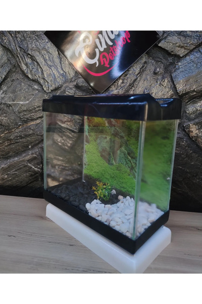 Çınarpetshop Özel Dekorlu Mini Akvaryum