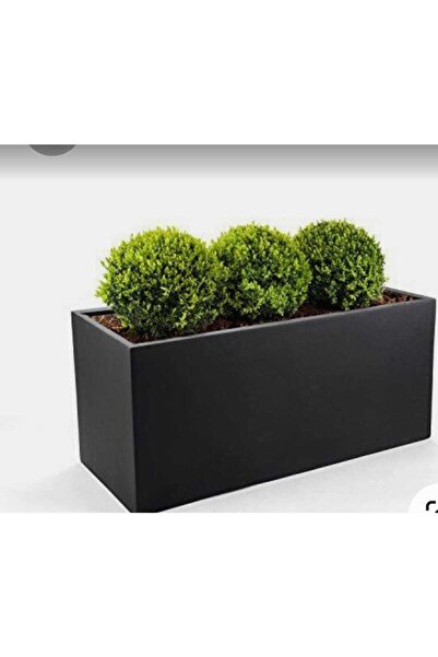 TRENDESK Galvaniz Sınır Saksılık, Çiçeklik ,çiçek Standı Texture Mat Siyah 25...