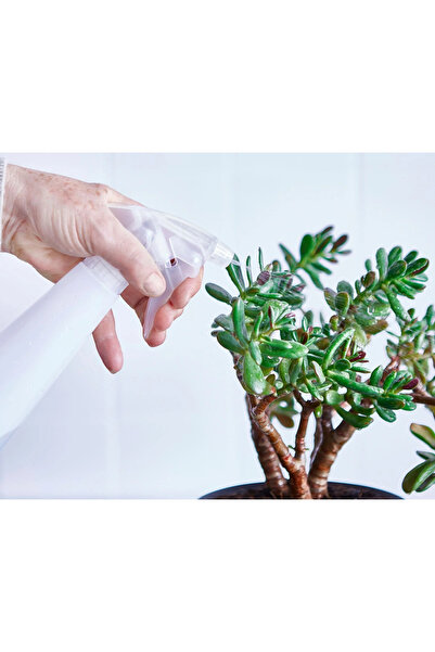 IKEA Çiçek Sulama Spreyi Hacim: 350 ml İkea Bitki Sulama Kabı Uzunluk: 26 cm ...