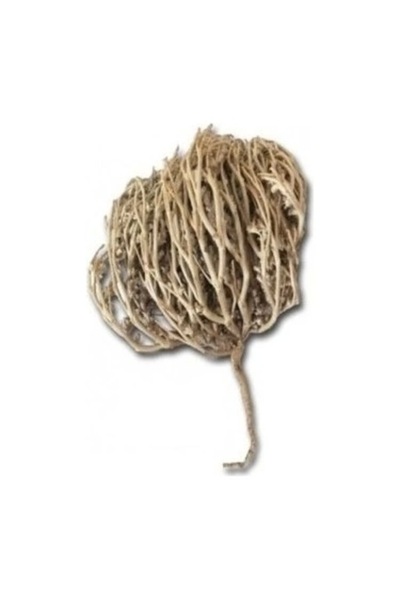 Köy Tohumları 1 Adet Meryem Ana Eli Otu Kuru Bitki Doğum Öncesi Sancı Giderici Ot