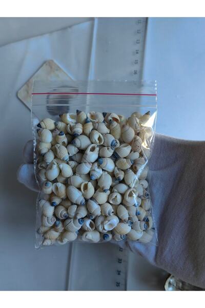 Seashell Rio Little Seashells: 200 Pieces