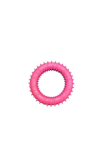 Glipet Plastic Spiny Bagel Dog Toy Purple