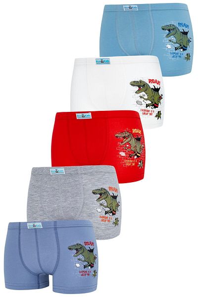 biyokids Boxeri pentru băieți, pachet de 5 boxeri cu imprimeu în culori mixte Byo2563