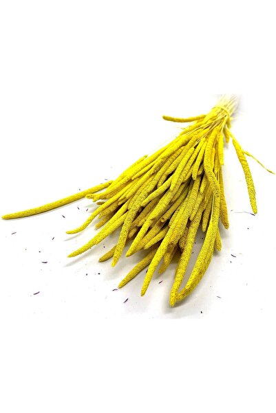 EFİRAZ Doğal Kurutulmuş Sarı Renk Solucan Otu, Gelin Buketi Aranjman Çiçeği, Kurt Otu