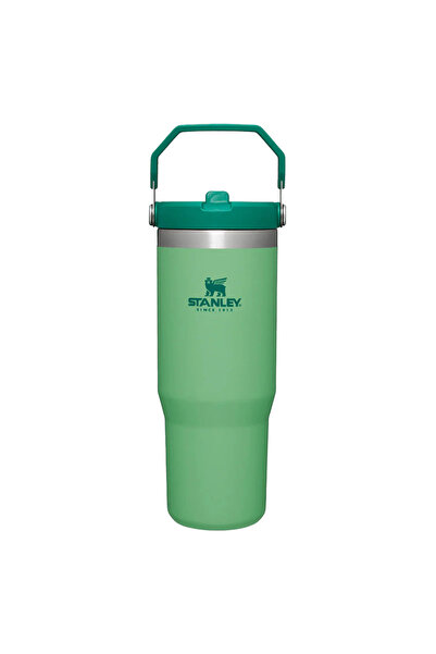 Stanley The IceFlow Flip Straw Pipetli Termos Bardak 0,89 Lt