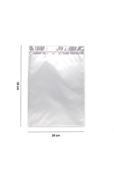 reprodesign 25X35 Silver Luxury Banded Matte Metalized Gift Package (10 Pcs)