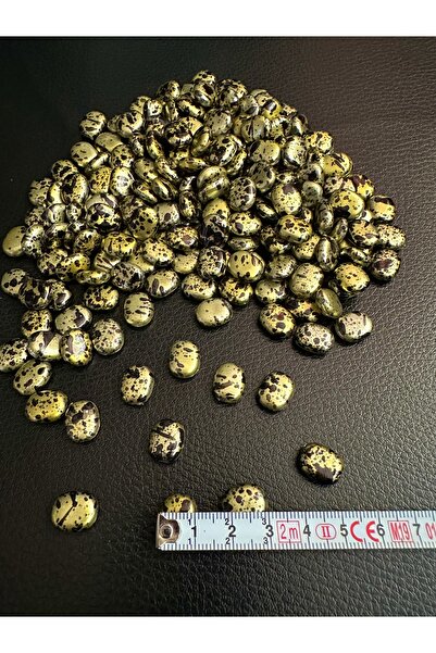 e tuhafiye 50 GRAME DE MARGELELE GALBENE CU ASPECT DE PIATĂ (1 Cm)