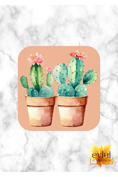Eylül Design Cactuses Printed Special Design Printed MDF A Quality Square Coa...