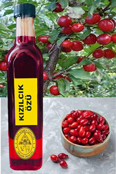 Organik Kızılcık Özü 750 Gr.