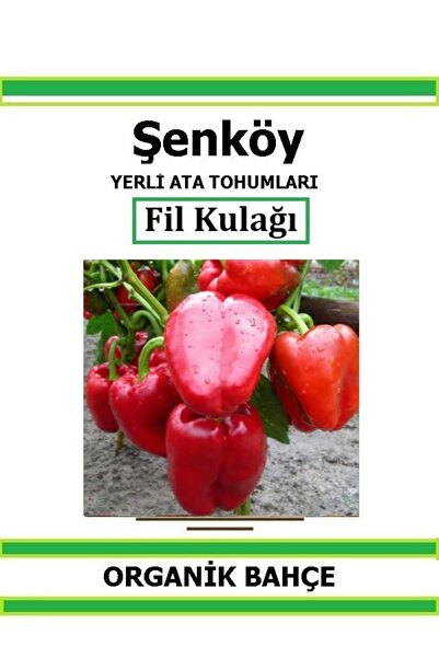 Şenköy Yerli Fil Kulağı Kapya Biber Tohumu Doğal Ata Tohum Pakette 20 Tohum +...