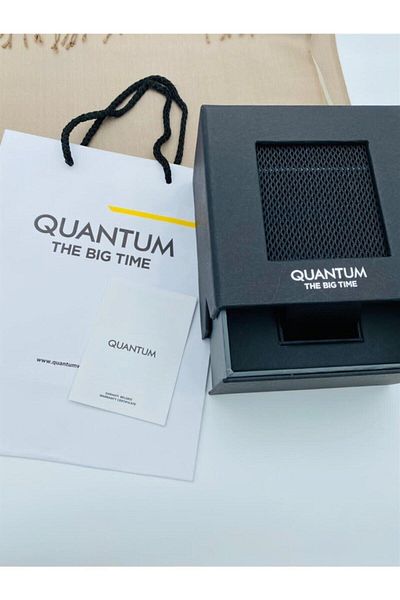 Quantum Pwg948.850 Steel Men's Watch