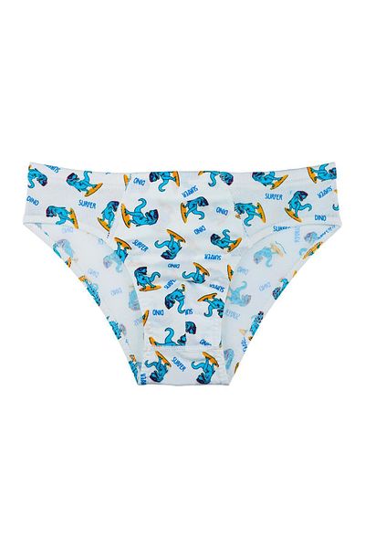 Sensu Boy's Cotton 3-Piece Panties Set - Kids1000