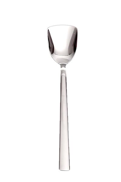 Bremen Home Stainless Steel Luxury Ice Cream And Dessert Spoon