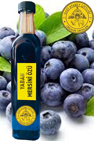 Organik Yaban Mersini Özü 750 Gr