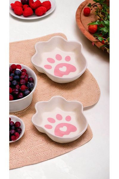 WPAWZ Ceramic for Cat and Dog Food 300 Ml. Pink Water Bowl