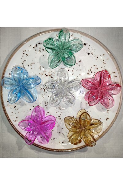 TETHOME Kadın Büyük Boy 6'Lı (8cm) Renkli Lotus Toka Seti