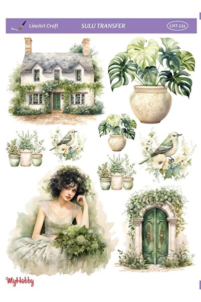 LİNEART Lineart Sulu Transfer LNT234 25x35cm