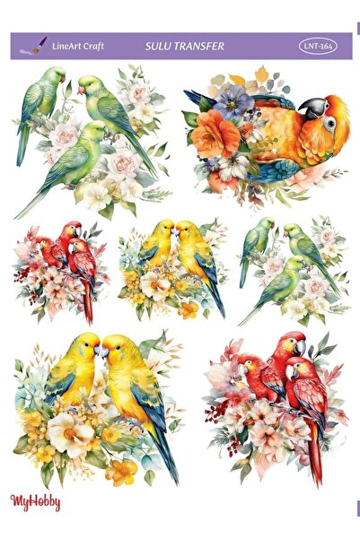 LİNEART Lineart Sulu Transfer LNT164 25x35cm