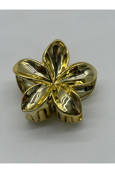 Hobimos Λουλούδι Lotus 8 εκ.