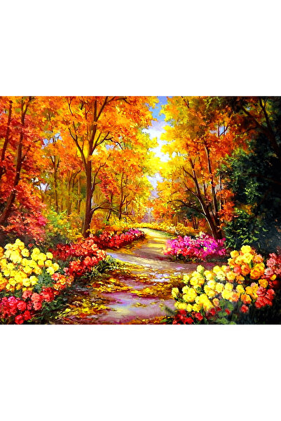 Hobi Tedarik Ormanda Sonbahar Manzarası Çerçeveli 40x50 Sayılarla Boyama Hobi...