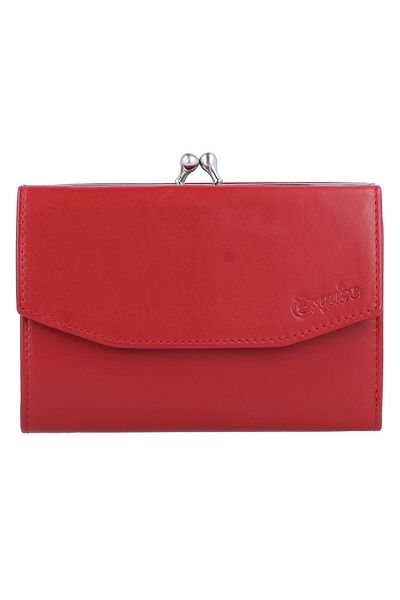 Esquire New Silk wallet leather 13 cm