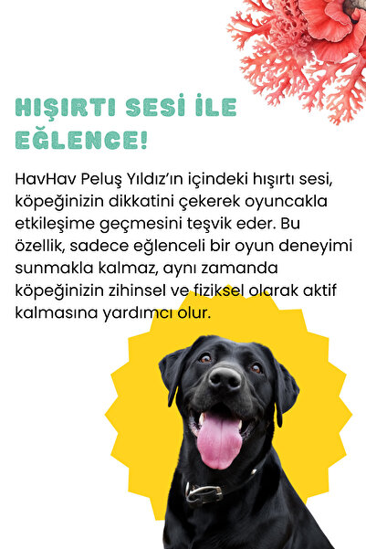 Havhav Yıldız Peluş Köpek Oyuncağı Ses Çıkaran Diş Kaşıma Oyuncakları Çekiştirme ve Kovalama Oyuncakları
