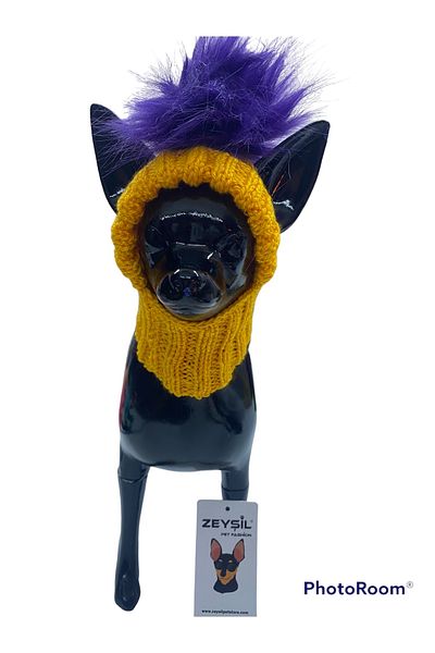 zeyşil Cat dog hat