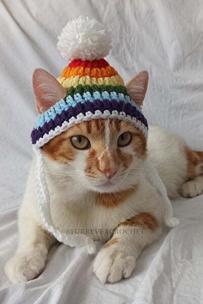 Furrever Crochet Gökkuşağı Bere Rengarenk Renkli Örgü Kedi Köpek Şapkası Evci...