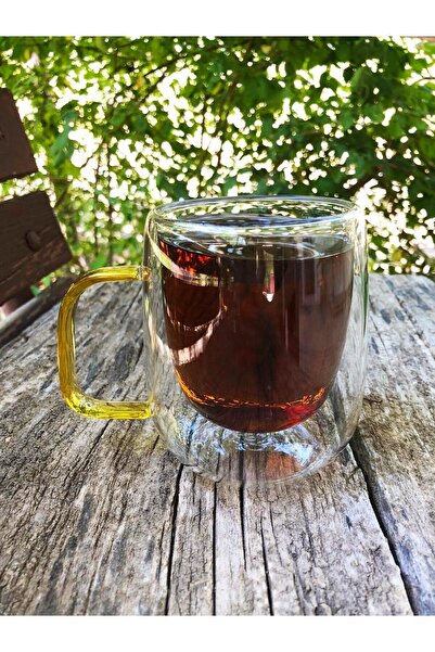 DİBA AVM Double Glazed Double Walled Glass Mug 310ml Home Office Cup Double Deck Heat Insulated Glass Cup with Handle