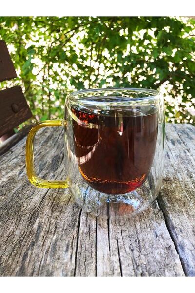 DİBA AVM Double Glazed Double Walled Glass Mug 310ml Home Office Cup Double Deck Heat Insulated Glass Cup with Handle