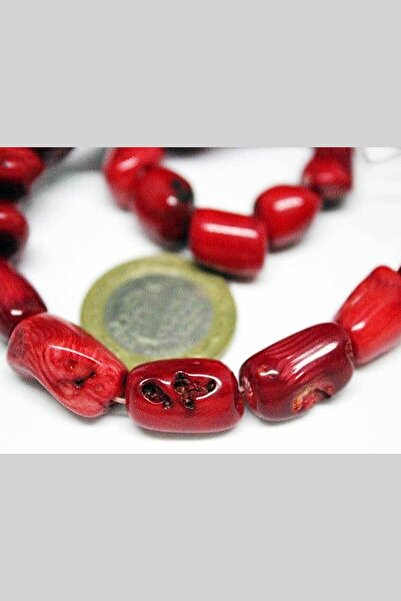 Yasamtohumu Коралові палички великого розміру/3 штуки (пофарбовані)