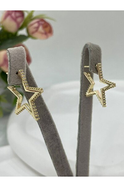 Gümüş Altın Yaldızlı Zirkon Taşlı Star Küpe (2,5x2,5cm)