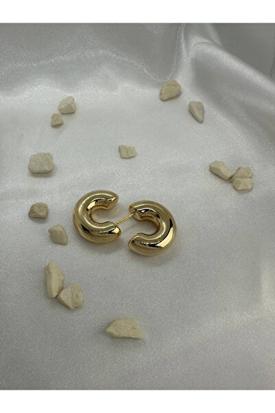 lysiaaccessory أقراط دائرية سميكة من الفولاذ الذهبي