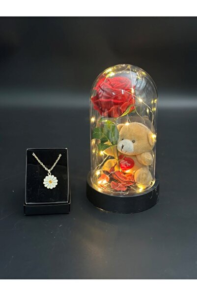 Masalsı Concept 14 Şubat Sevgililer günü Hediyesi Ledli Fanusta Kırmızı Gül p...