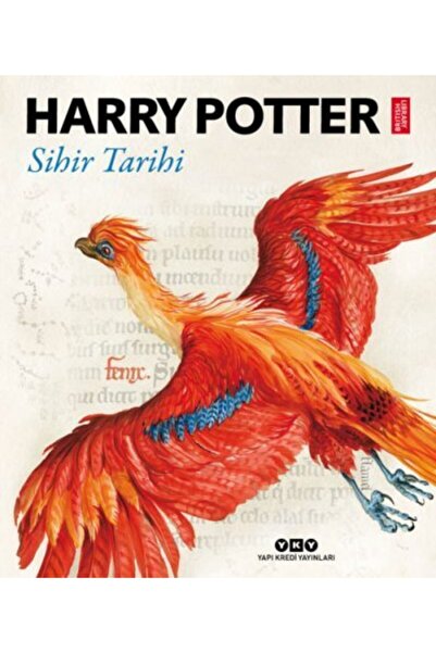 Yapı Kredi Yayınları Harry Potter: Sihir Tarihi