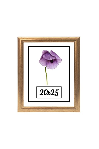 ÖZCANLAR ÇERÇEVE Hediyelik Çerçeve Dekorasyon Kişiye Özel Resim Çerçevesi Ölç...