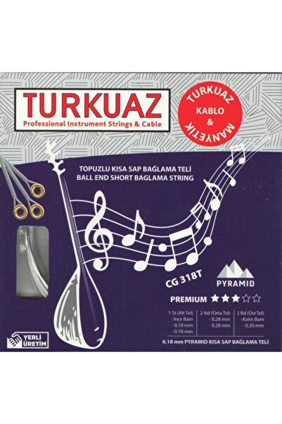 Turkuaz CG 318T 0.18 мм пірамідальна ручка + шовкова облямівка, короткий наши...