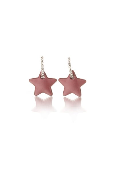 Leerybee Matte Burgundy Color Antiallergic Star Earrings