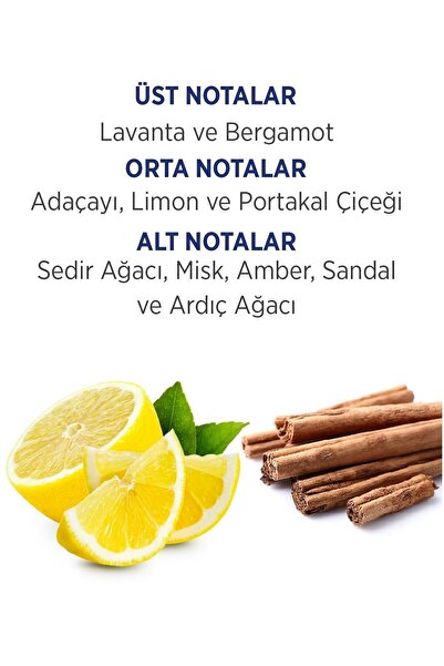 First Class Edt 100 Ml Erkek Parfümü 8690586010436