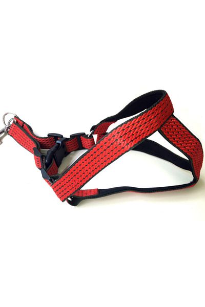AMORE Heavy Duty Extrastrong Dog Shoulder Collar Xxl