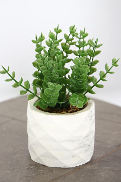 Yapay Çiçek Deposu زهرة الطاولة الصناعية في وعاء خرساني موديل 22