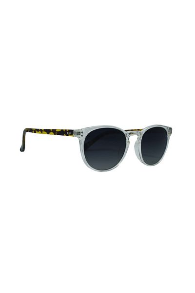 Swing Sunglasses Ss287 C2