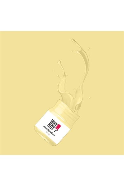 WHY NOT Lemon Drop Multisurface Kendinden Vernikli Akrilik Boya 500ML