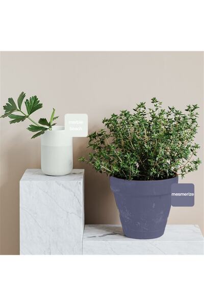 WHY NOT Marble Beach Multisurface Kendinden Vernikli Akrilik Boya 500ML