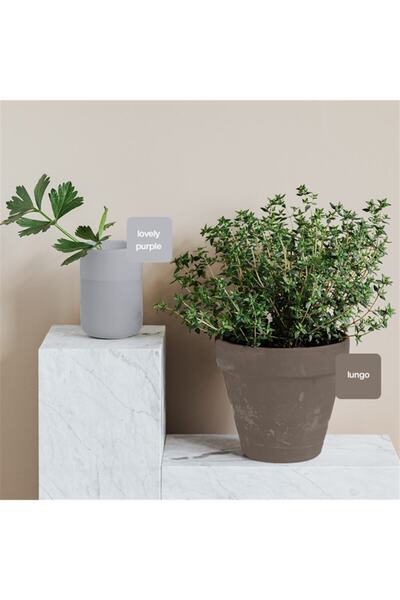 WHY NOT Lungo Multisurface Kendinden Vernikli Akrilik Boya 500ML