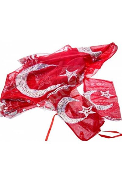 Halay Kına Henna veo sa šljokicama u obliku polumeseca i zvezde, 2 rukavice