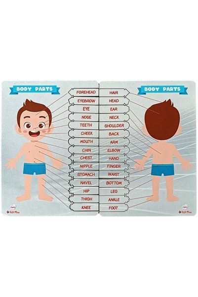 gift plus 2'li Body Part Vücut Parçaları Eğitici Öğretici Puzzle Yapboz Oyuncak