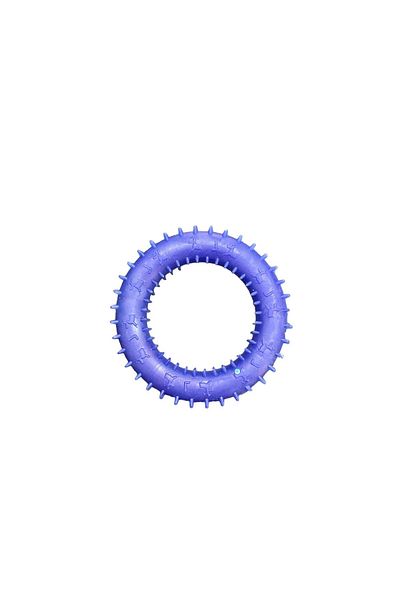 Glipet Plastic Spiny Bagel Dog Toy Blue