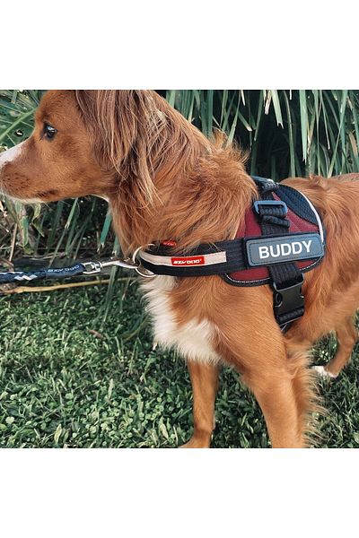 Ezydog Convert Harness - Red