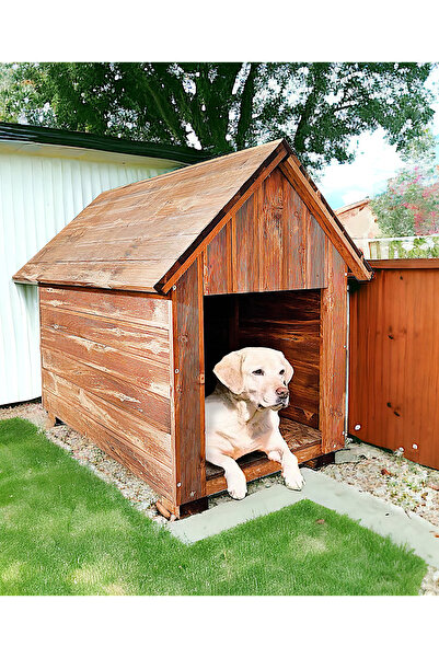 Weblonya Ahşap Köpek Kulübesi Köpek Evi Ağaç Köpek Yuvası 2024
